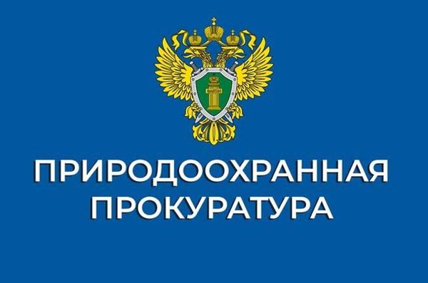Разъяснения законодательства, подготовленные Новгородской межрайонной природоохранной прокуратурой.