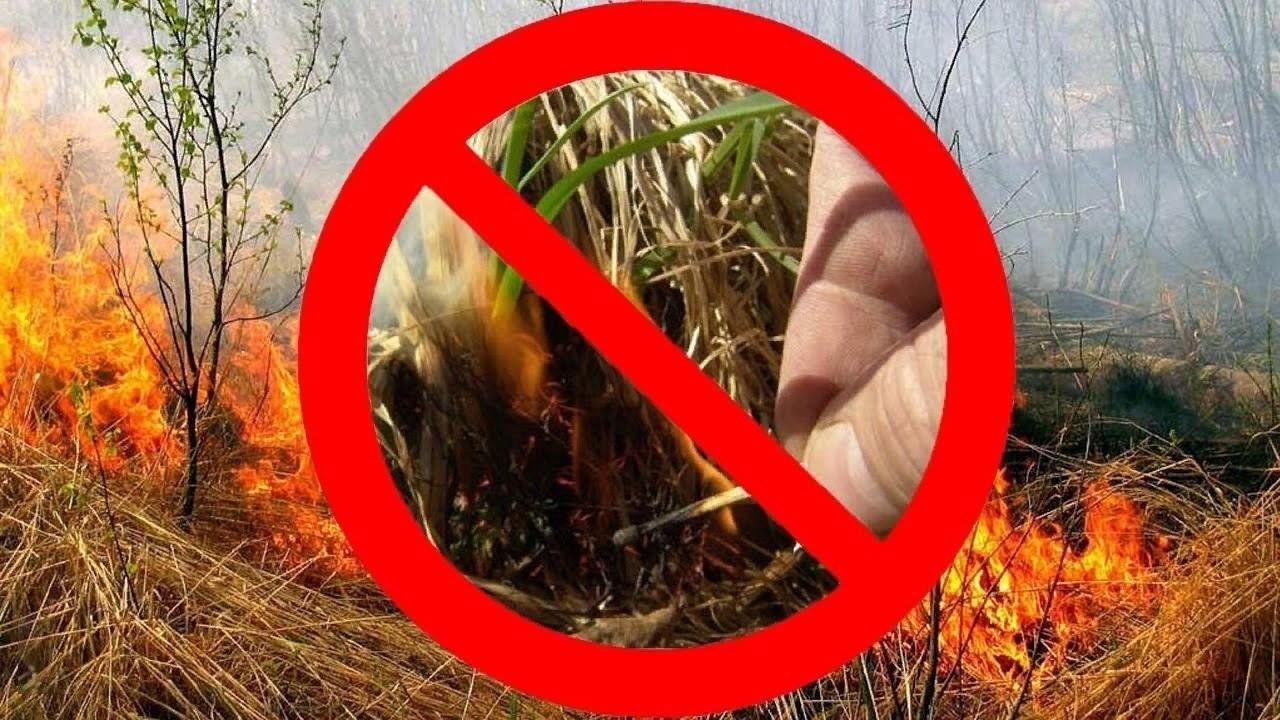 Предупреждение ландшафтных пожаров.