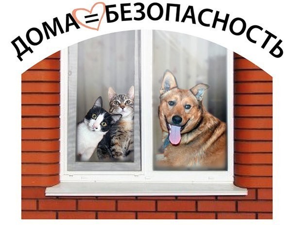 Уважаемые владельцы собак и кошек!.