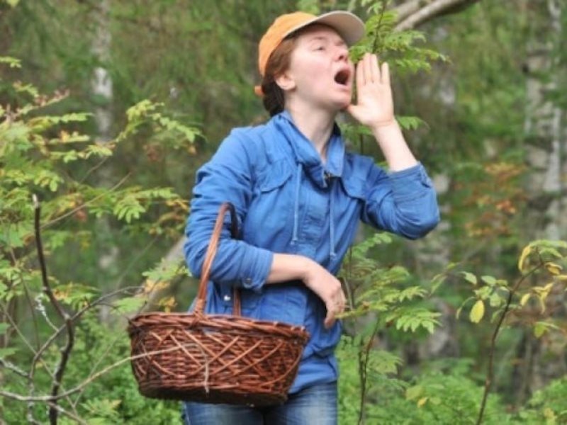 Отправляясь в лес, мало кто задумывается, что может заблудиться..