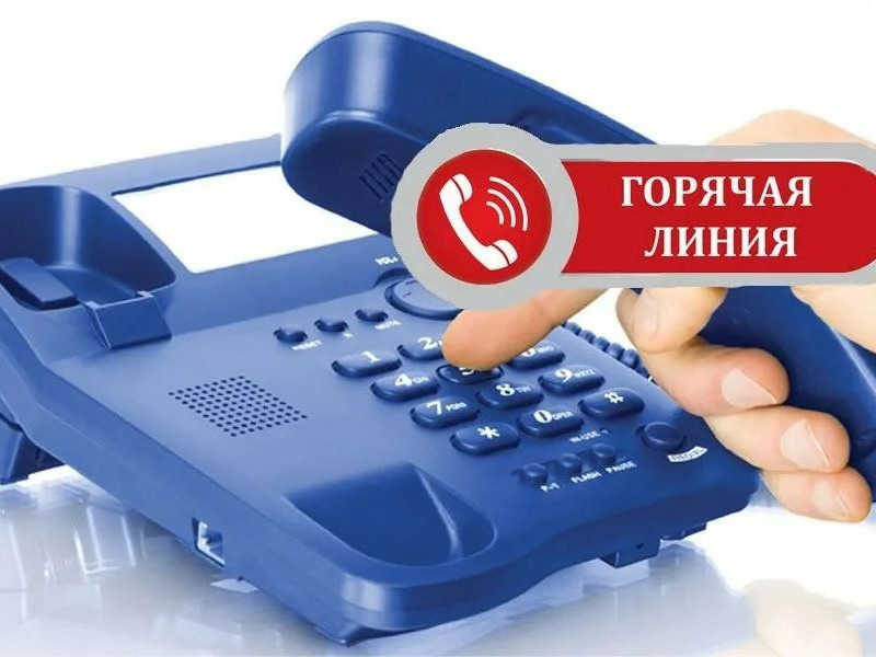 Филиал ППК «Роскадастр» по Новгородской области информирует о проведении горячей линии 13 августа 2026 года.