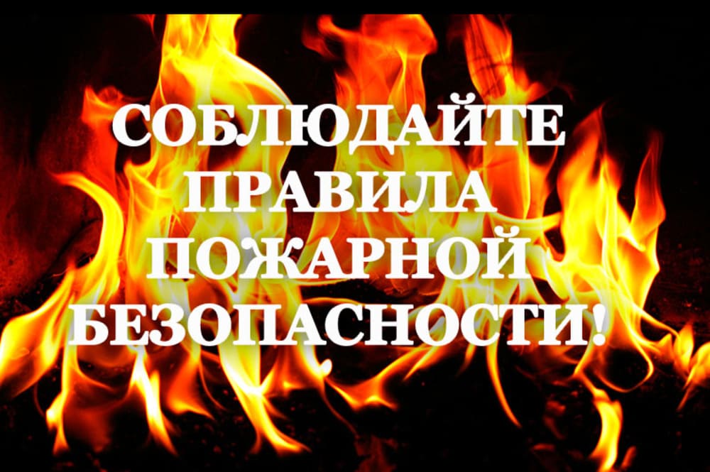 В ближайшее время в Новгородской области сохранятся сильные морозы..